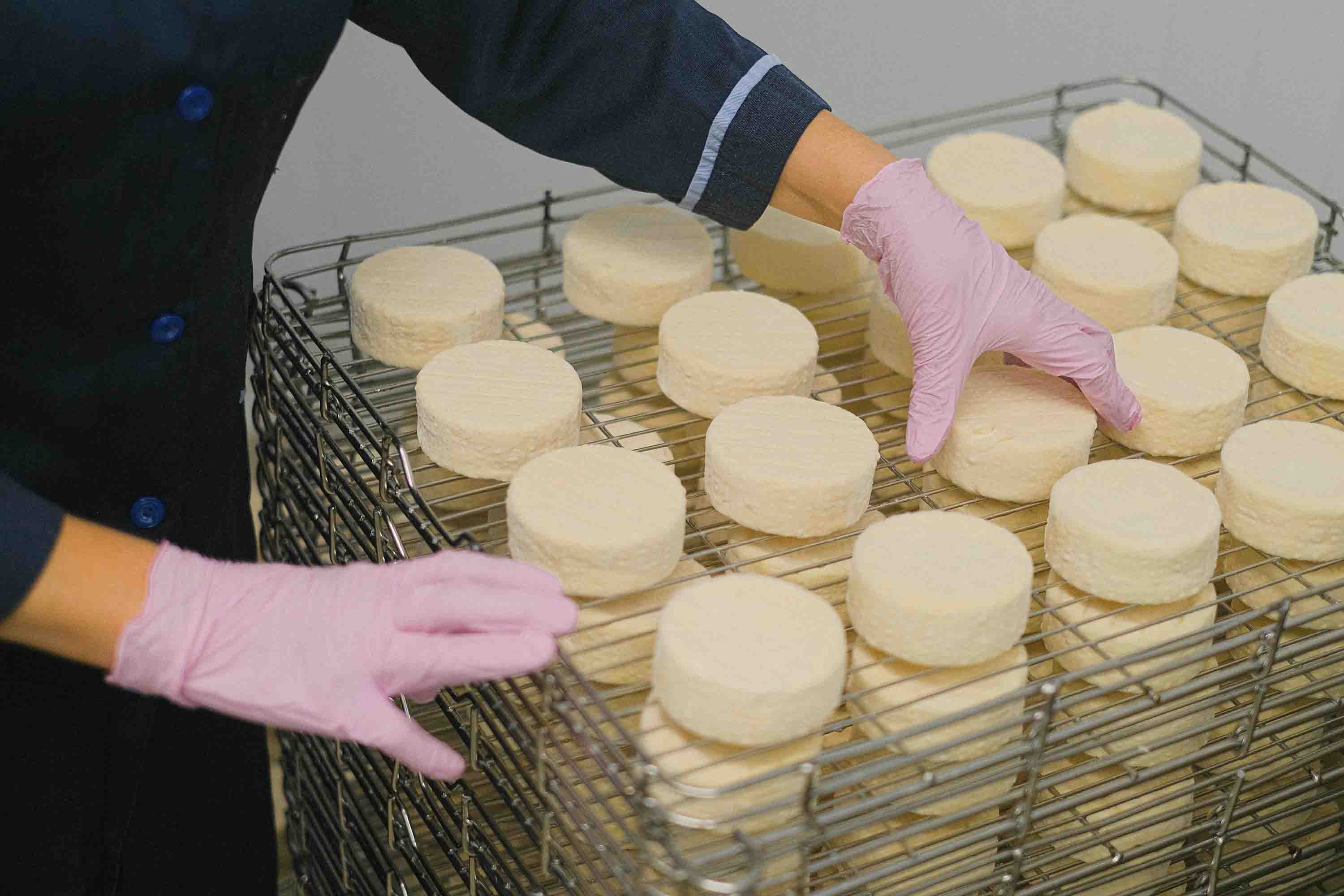 Cheese