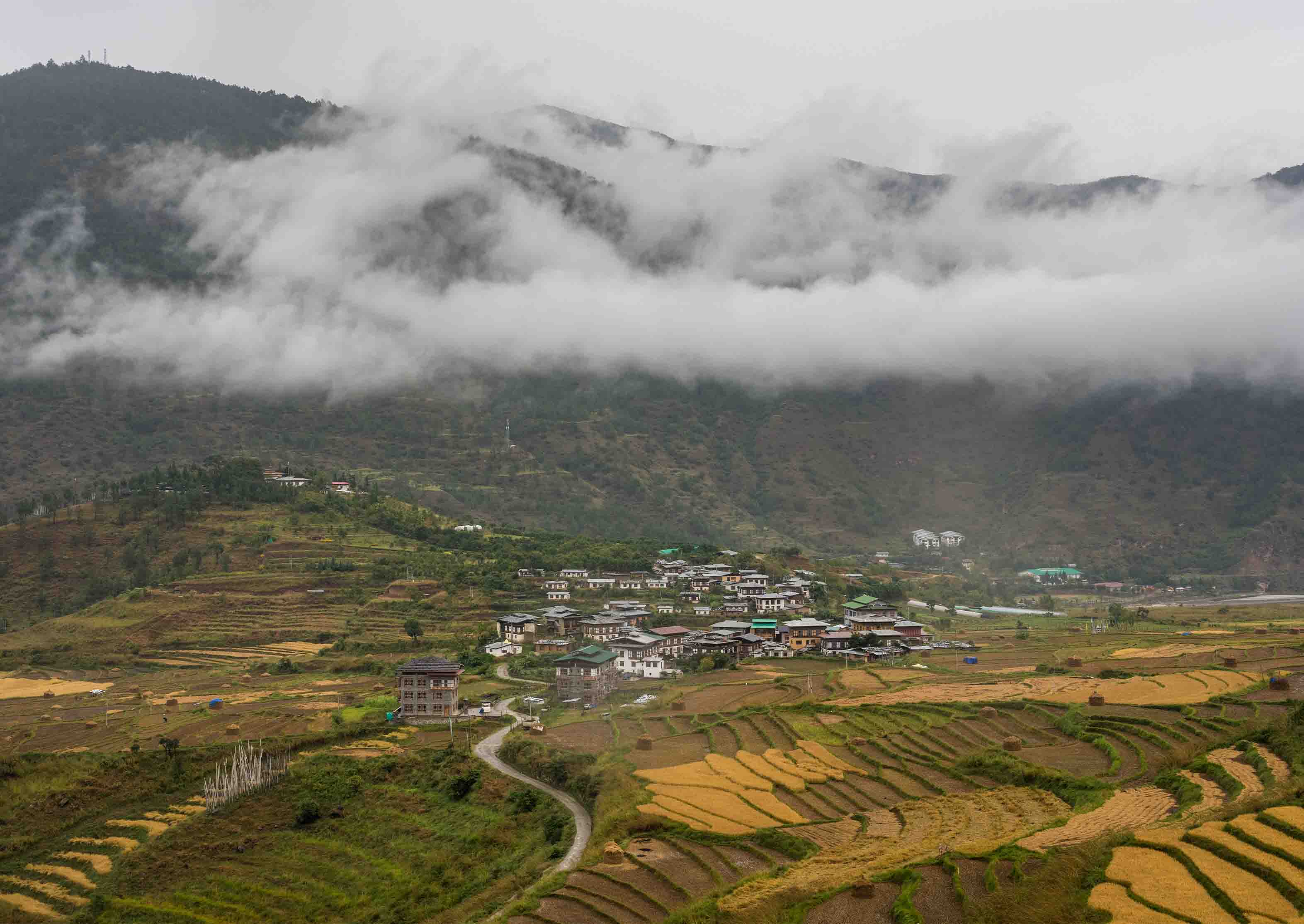 Corporate Mindfulness Workshops